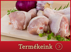 Termékeink